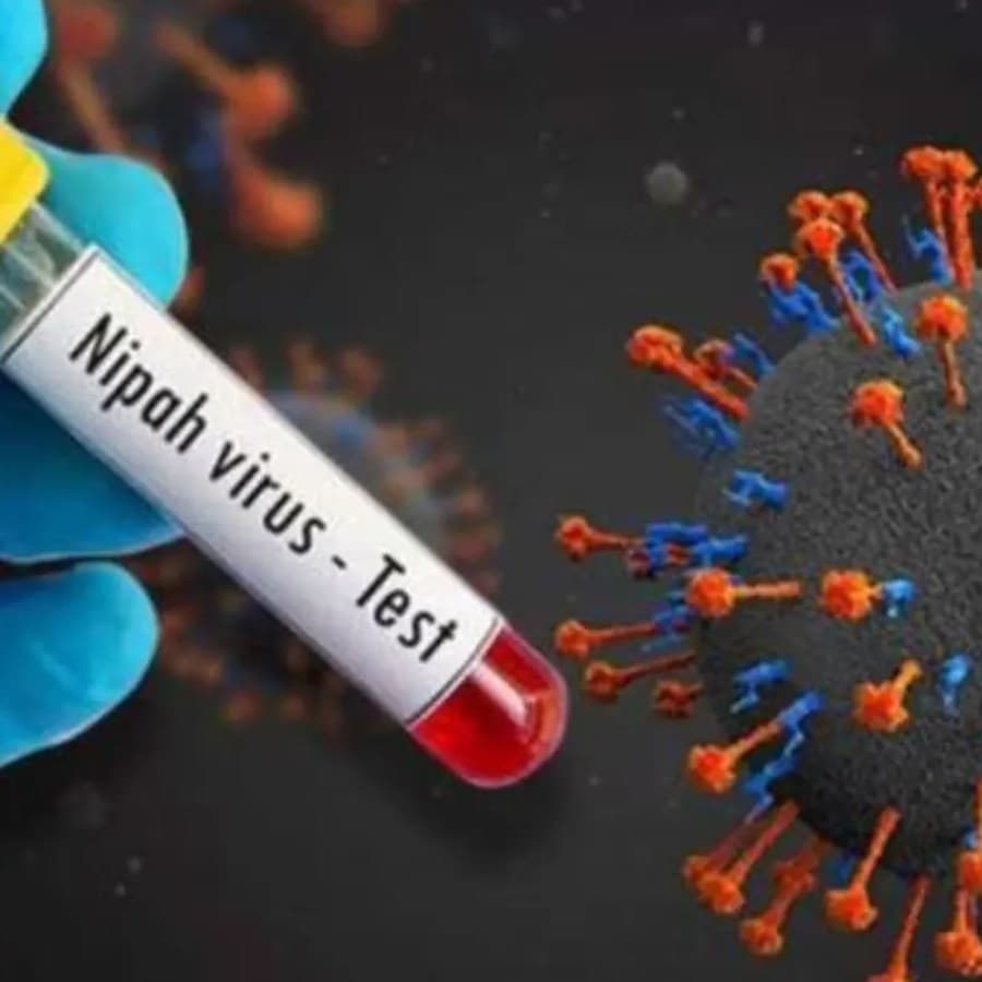 WHO confirms two Nipah infections in West Bengal; regional screening stepped up