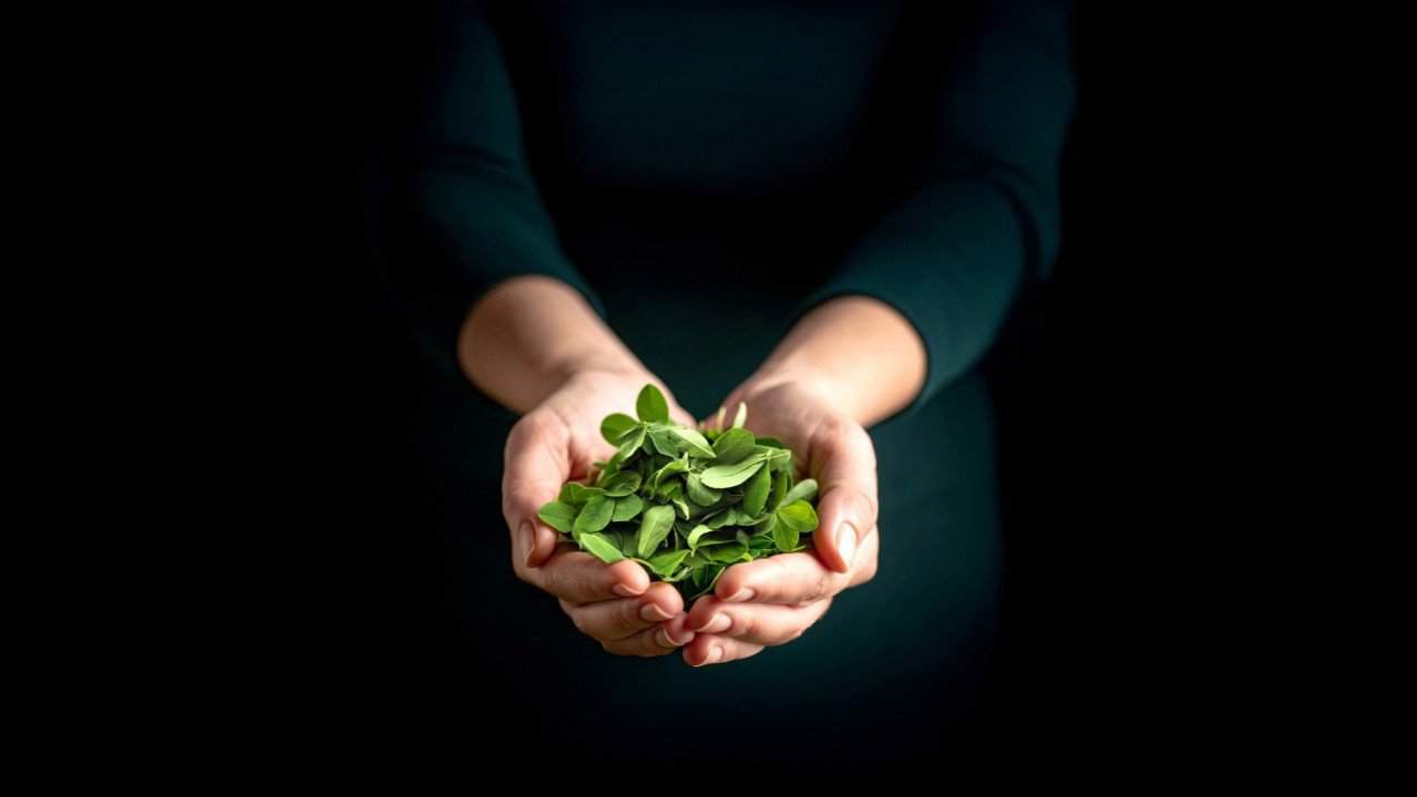 Leaf protein biorefineries could meet global protein needs in crisis, study says