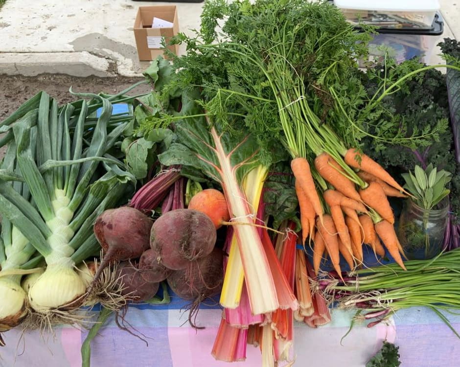 North Dakota Opens 2026 Specialty Crop Grants, Local Producers Urged to Apply