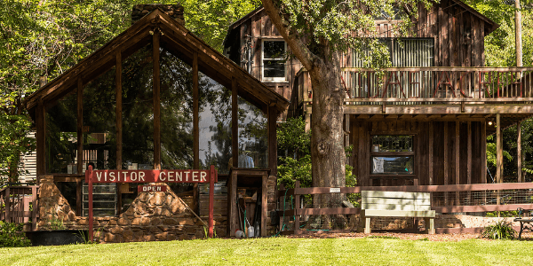 Autrey Mill Nature Preserve Offers 46 Acres of Forest and Heritage History