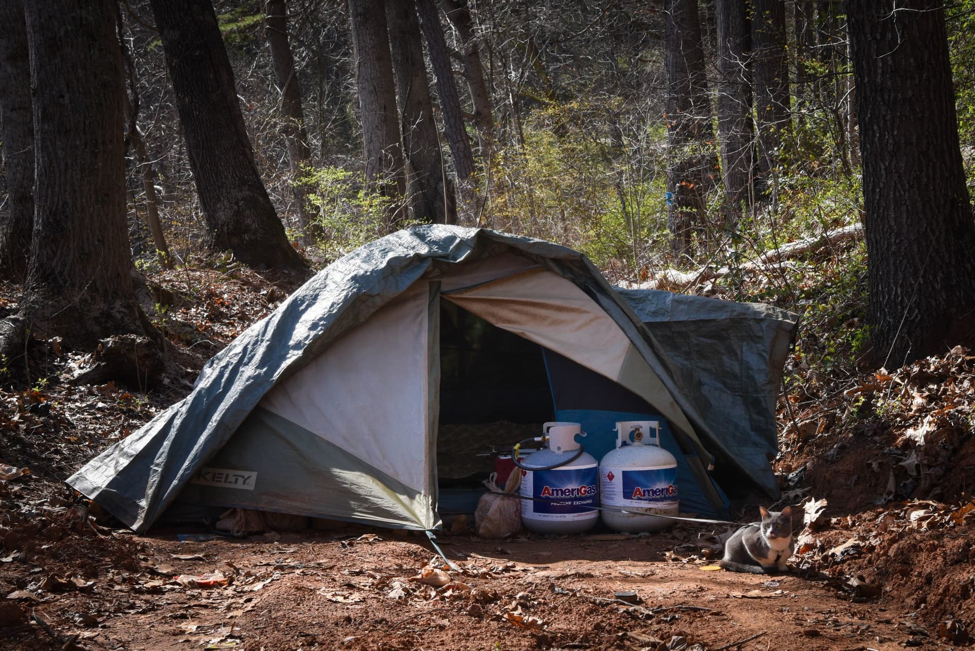 Senate passes camping ban as Buncombe homelessness reaches record high
