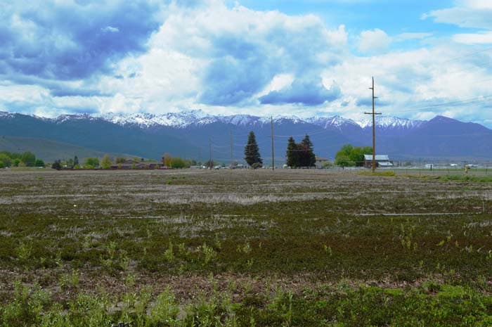 County staff seek approval for controlled burn, prepare 62 acre field for reseeding