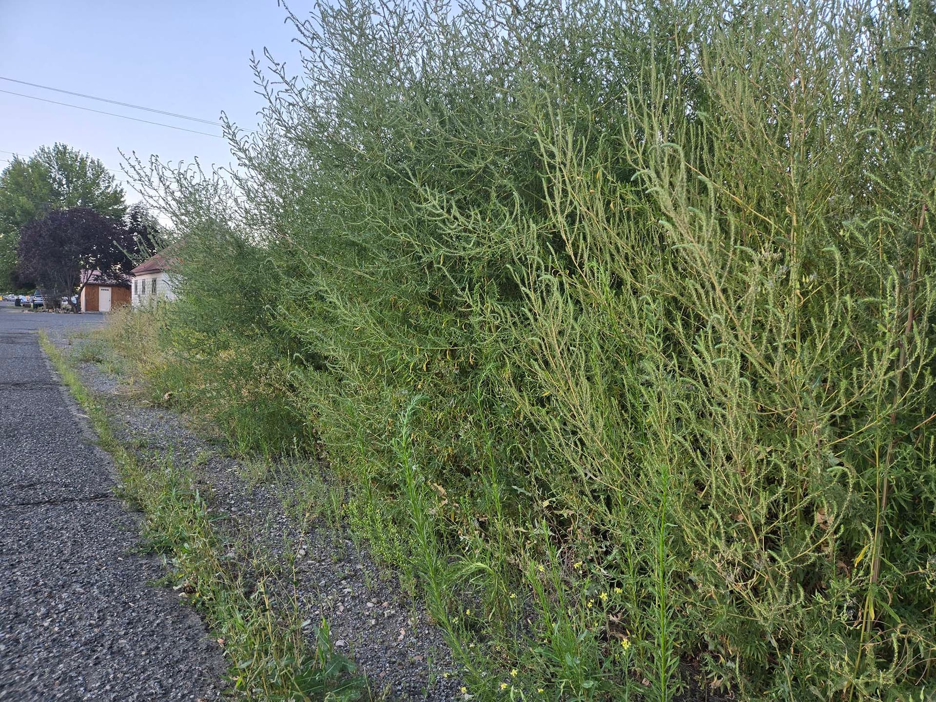 Baker City Council Considered Placing Tax Liens on Ten Properties