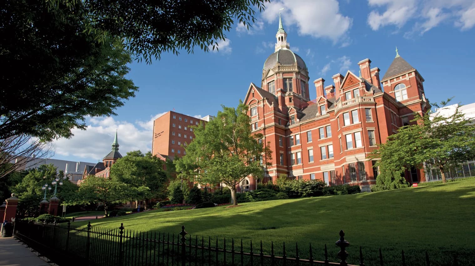 Johns Hopkins seeks approval for stormwater work, trees slated for removal