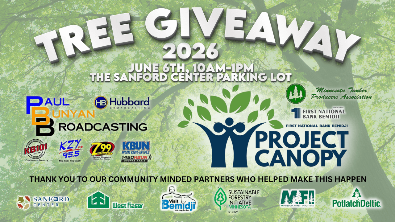 Project Canopy to give away thousands of free tree saplings in Bemidji