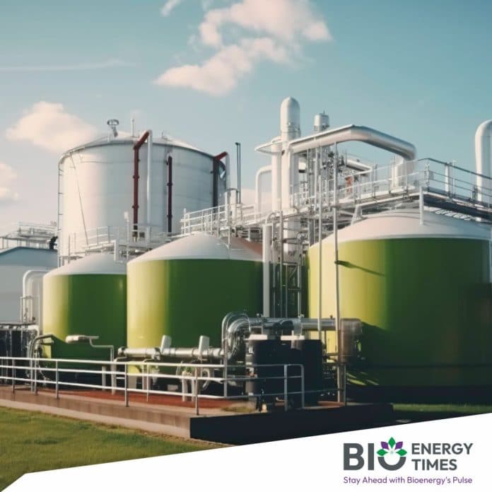 West Champaran to get nearly Rs 200 crore in bioenergy investment