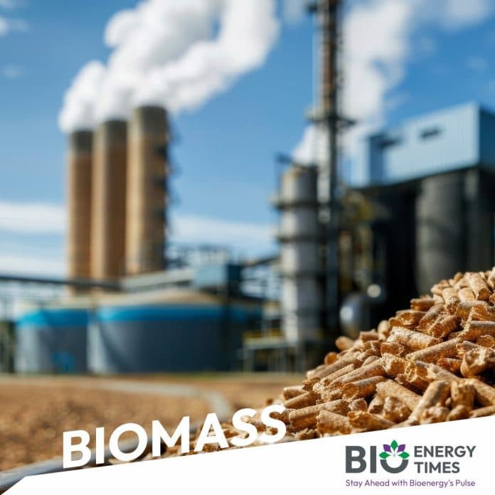 SunGas halts Louisiana bioenergy and low-carbon methanol project