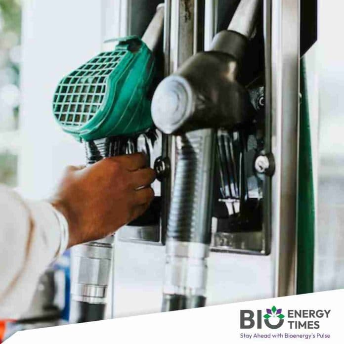 Karnataka High Court orders review of ethanol allocation dispute