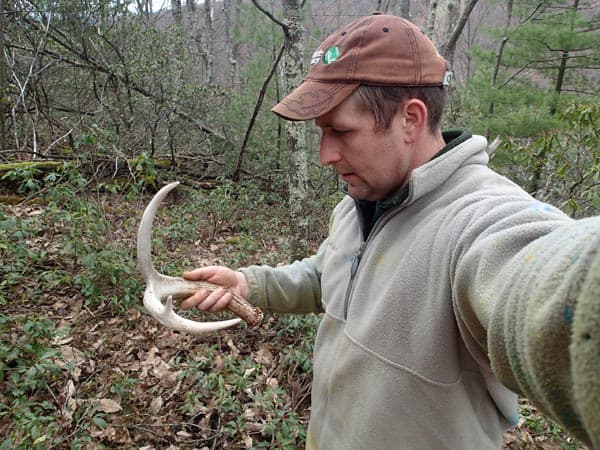 How to find deer sheds without stressing winter wildlife