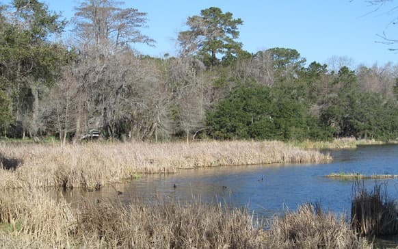 Clemson workshop in Bamberg offers pond management guidance for owners