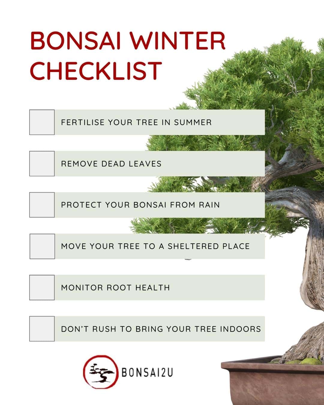Essential January-March bonsai checklist to protect trees through dormancy