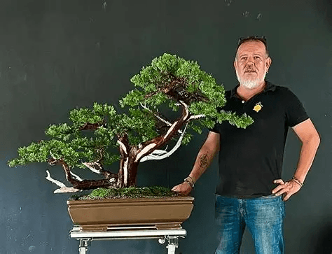 Bonsai Society of Brevard Hosts March Events Including Bonsai and Cheers