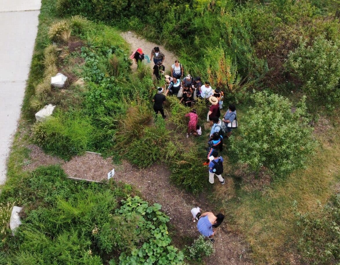 Bronx food forest launches free foraging series in Concrete Plant Park