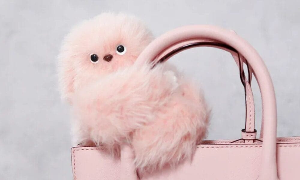 Labubu Meets Its Match as Mirumi Charm Robots Enter the Collectibles Race