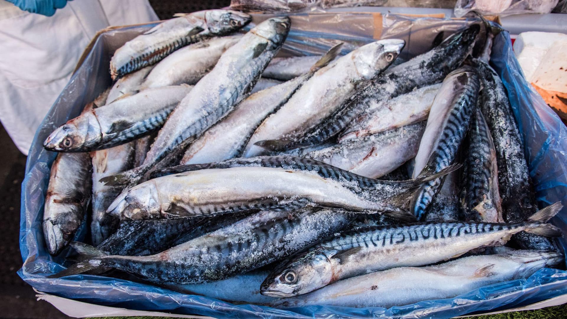 Waitrose to halt mackerel sales by 29 April amid 70% cut call