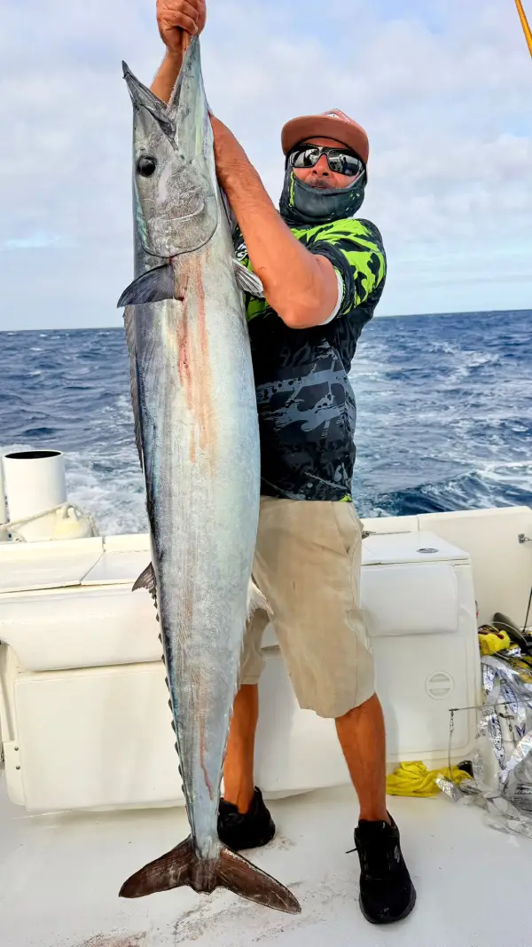 Cabo tuna schools improve offshore as spring bite heats up