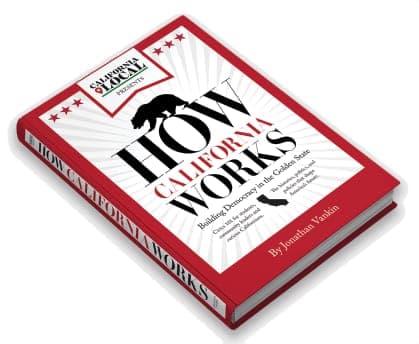 Sacramento Bonsai Club Marks 66 Years With Spring Show, Live Demonstrations