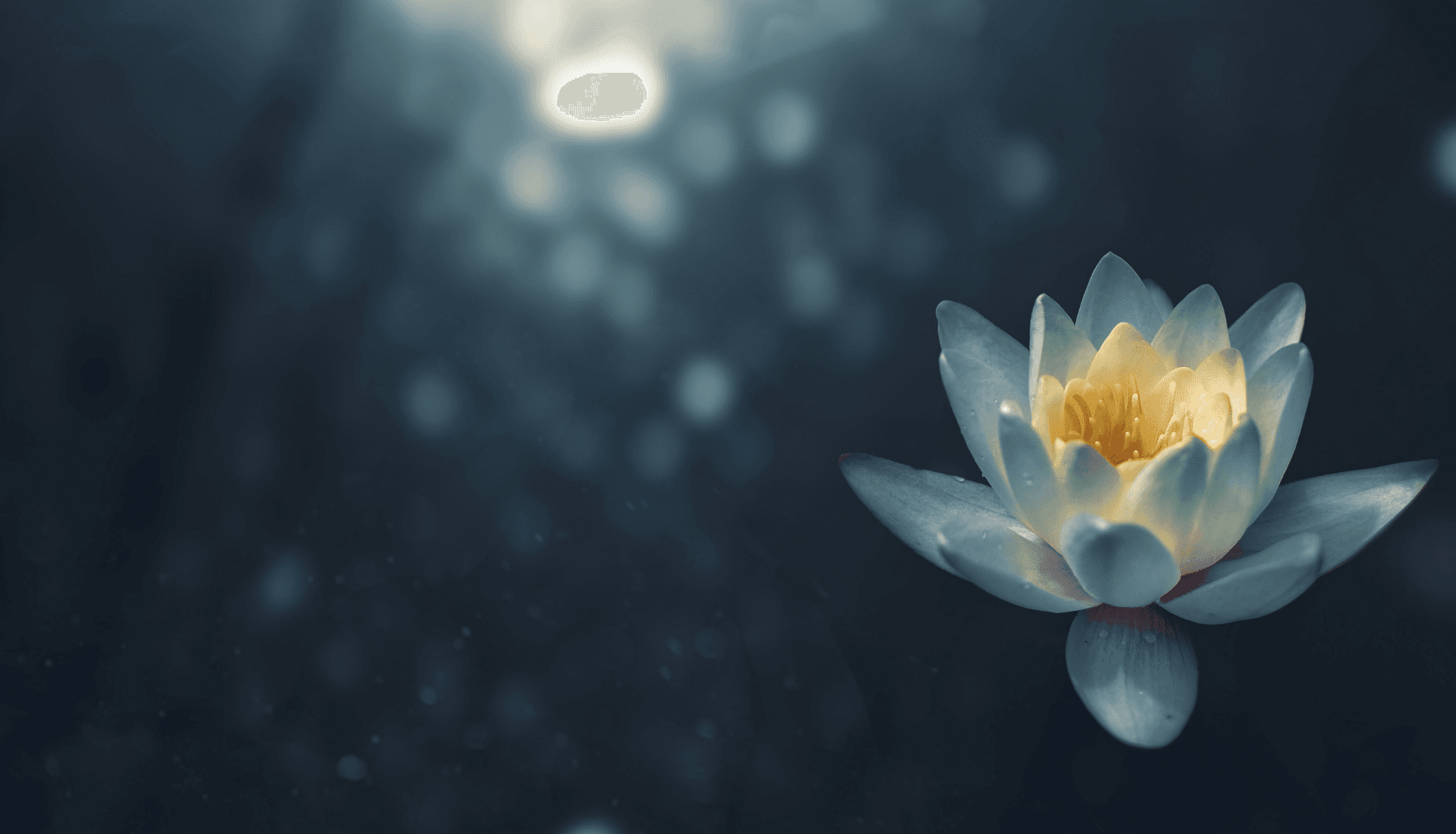 Cameron Art Museum pairs gallery art with Friday mindfulness meditation