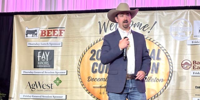 Beef cycle turns, fed cattle prices expected to ease in 2026