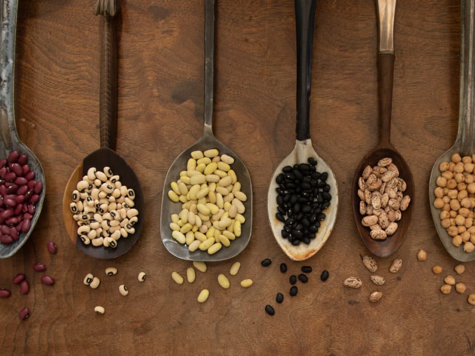 Dove Creek Pinto Bean Capital Blends Farming Heritage and Outdoor Tourism