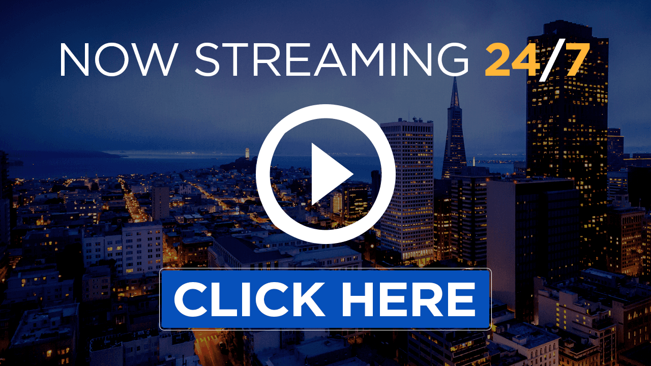 Inland sea lion pup Irving rescued in San Francisco’s Outer Sunset