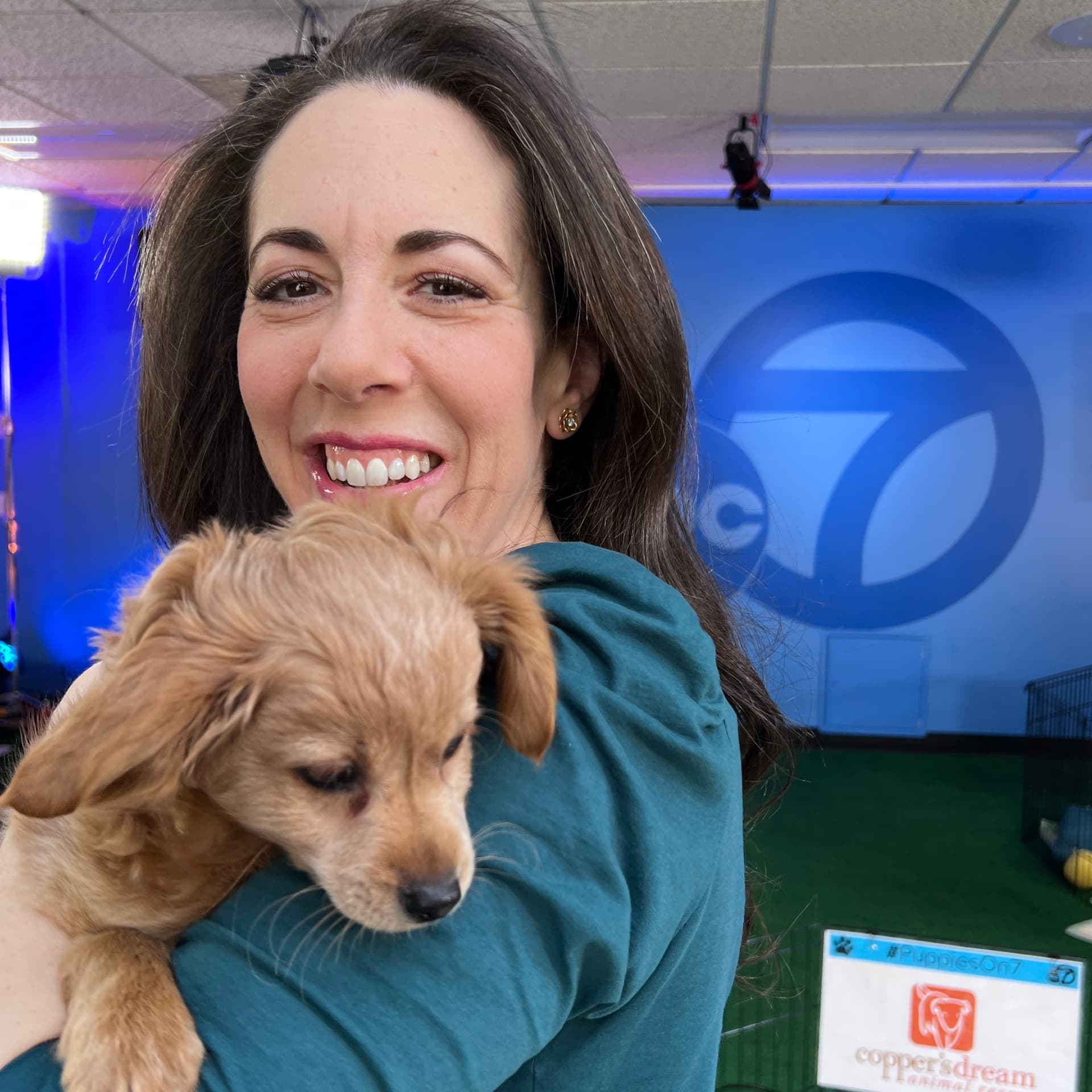 Puppy Bowl roster spotlights local rescue as Bay Area hosts Super Bowl