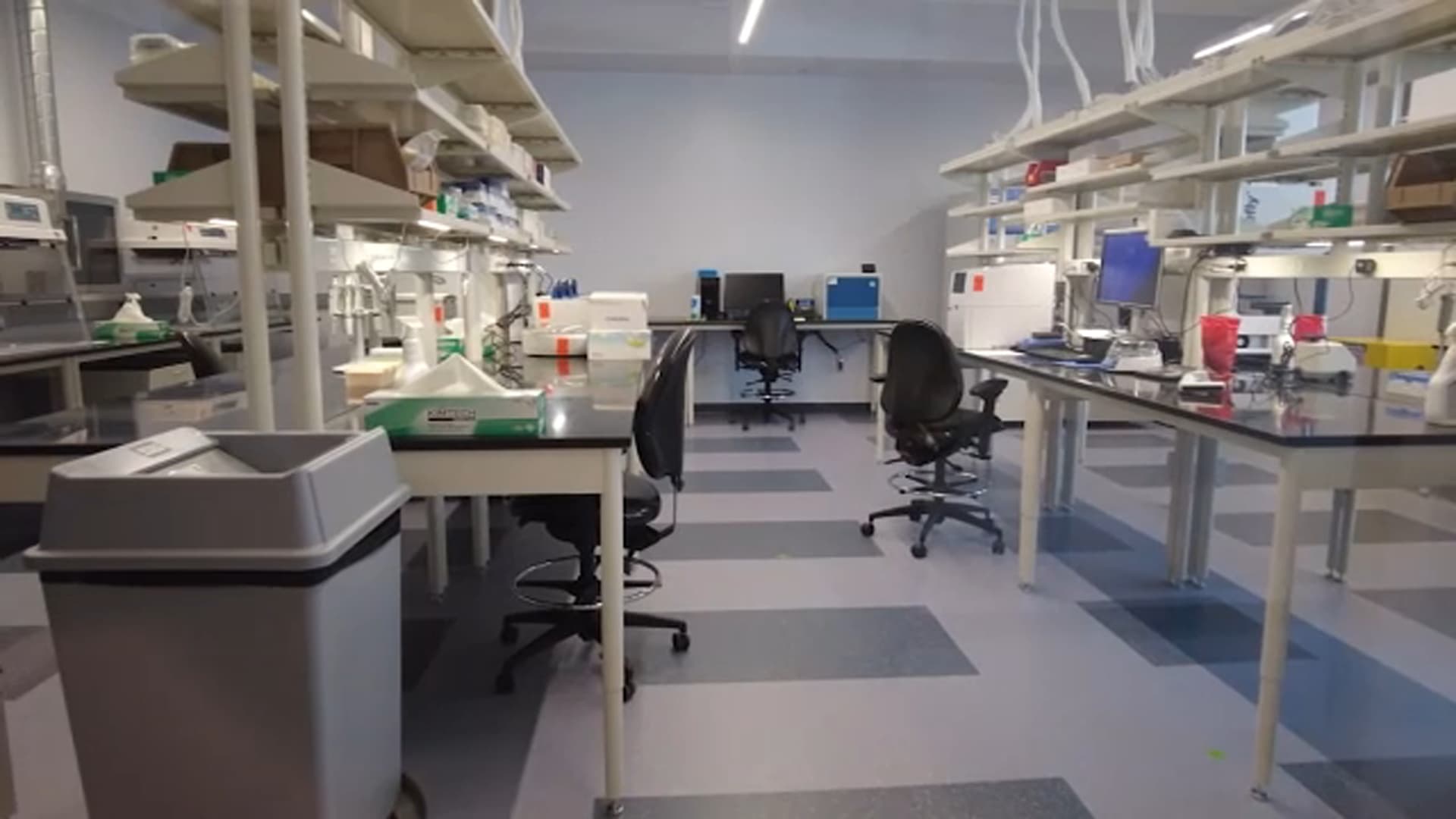 CDC Drops Disease Testing Services Amid Staff Cuts, Experts Warn of Risks