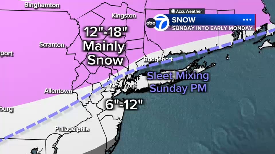 Winter Storm Fern Spurs Long Lines, Stripped Shelves at Trader Joe’s Manhattan