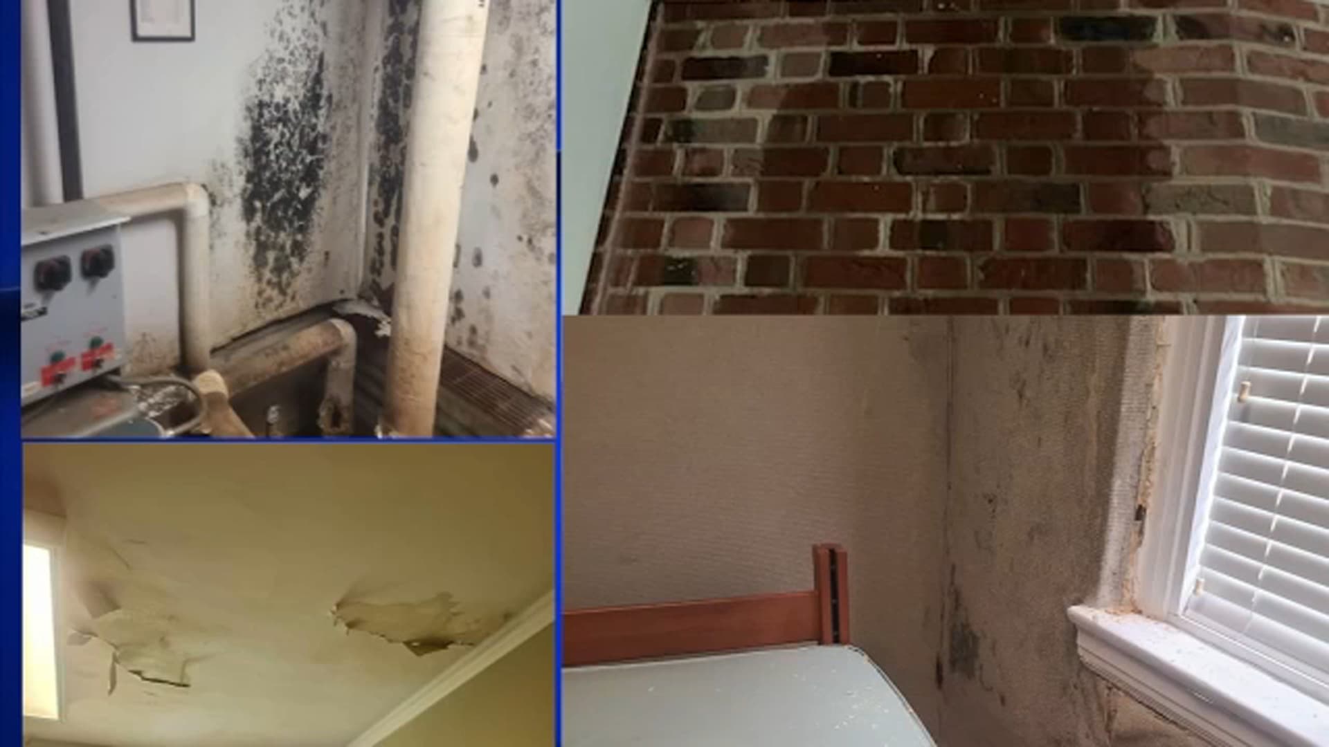 Meredith College internal report reveals widespread concerns over housing, staffing, finances