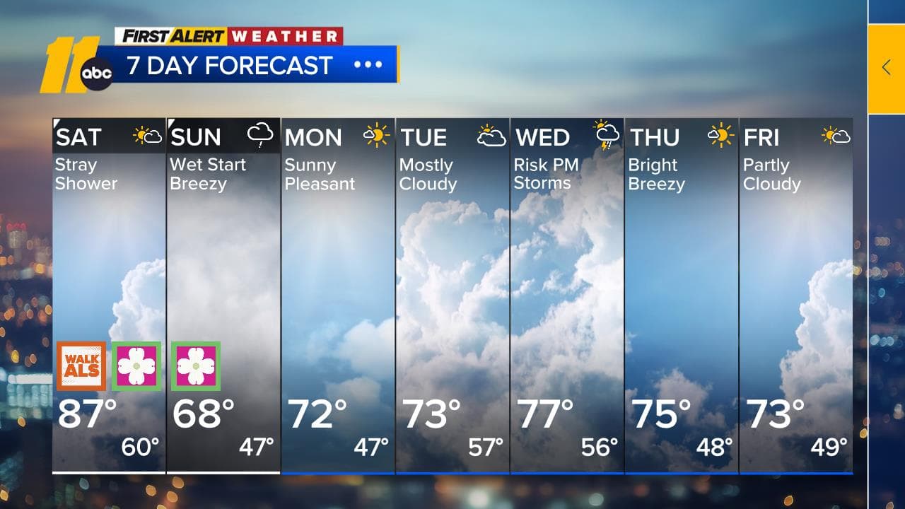 Raleigh neighbors fear for safety amid repeated rock-throwing, break-ins