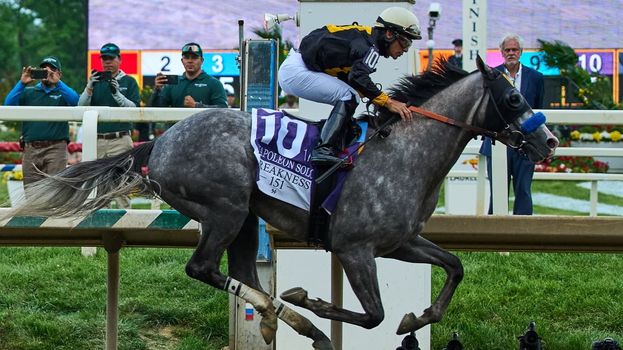 Napoleon Solo gives Al Gold career-defining Preakness victory