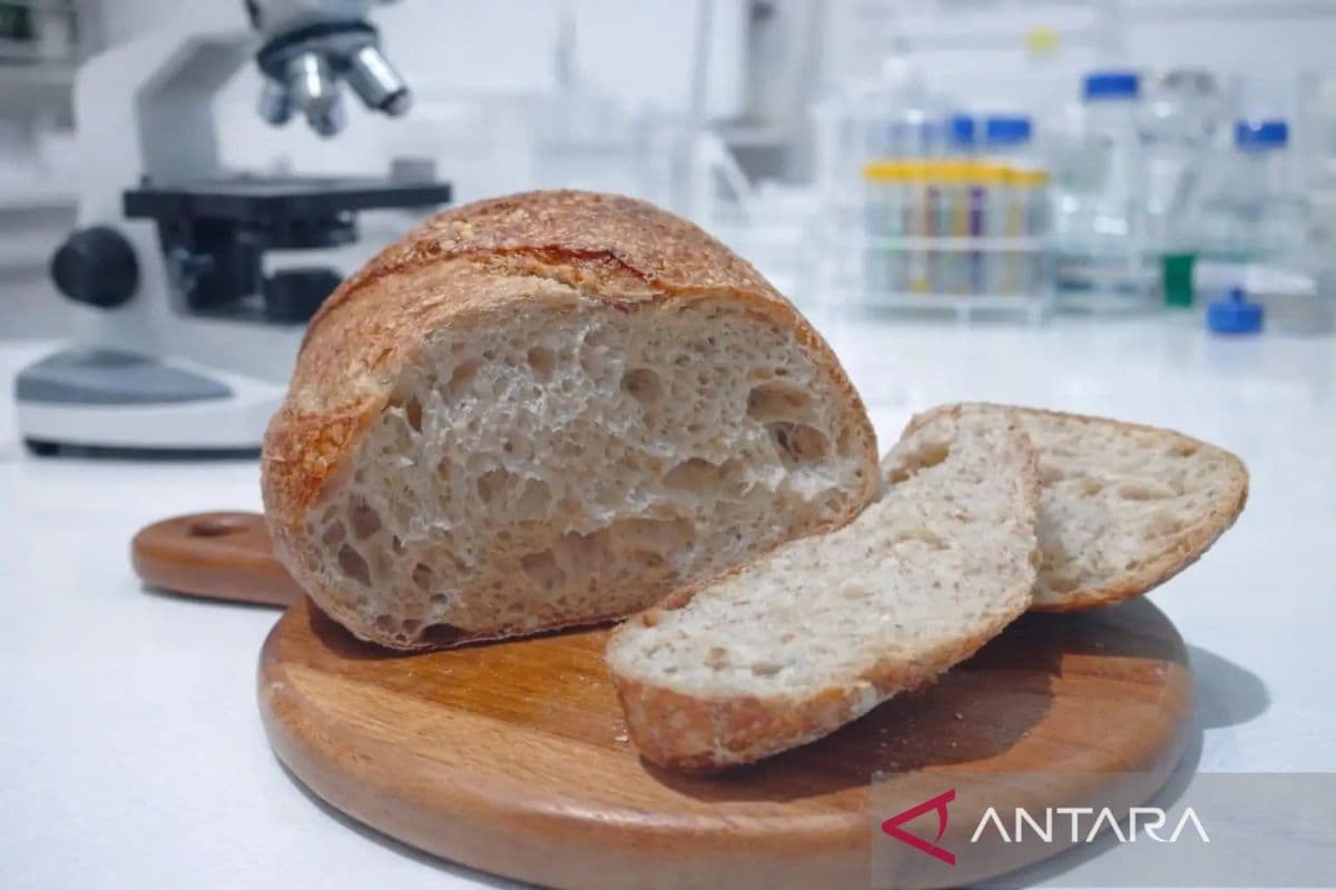 Indonesian Researcher Develops Red Rice Sourdough from Local Grain
