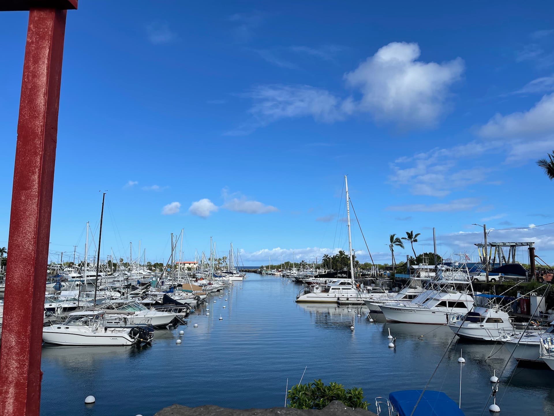 Health department retests Honokohau Harbor after elevated bacteria sample