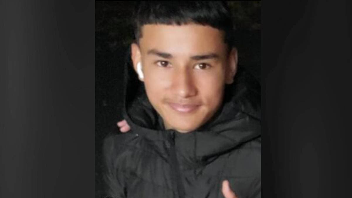 Hawaii Island police seek public help finding runaway teen in Hilo