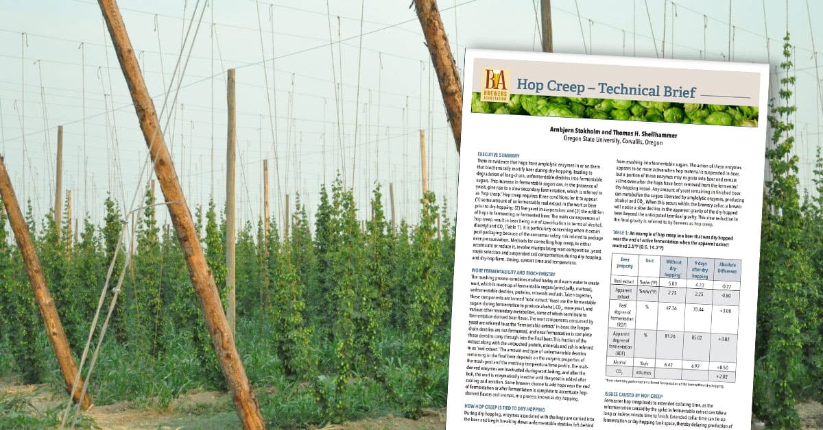 What hop creep is, and why dry-hopped beer keeps changing
