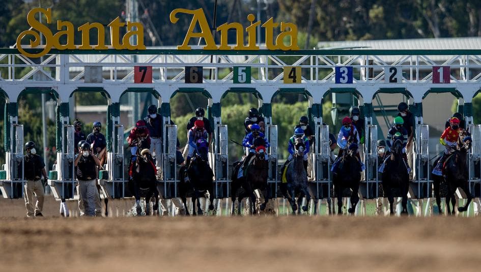 San Felipe, Tampa Bay Derby Results Reshape Early Kentucky Derby Picture