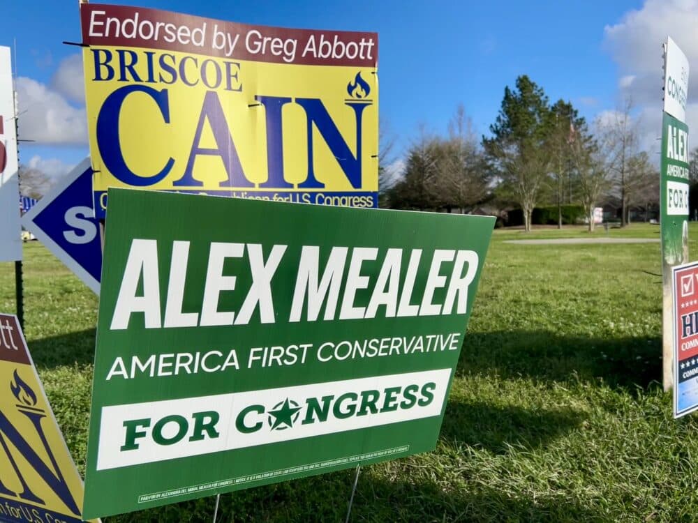 Mealer, Briscoe Cain Advance to May 26 GOP Runoff in Texas 9th
