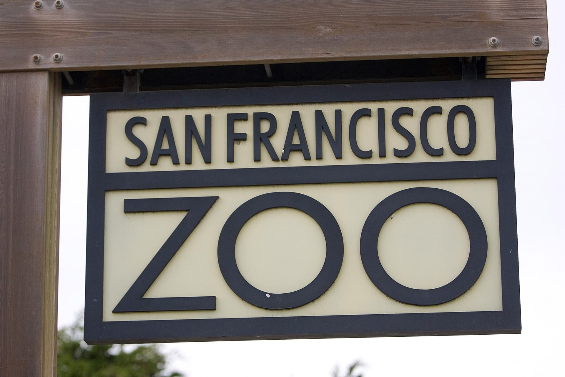 San Francisco poised to lend zoo $8.5 million after audit findings