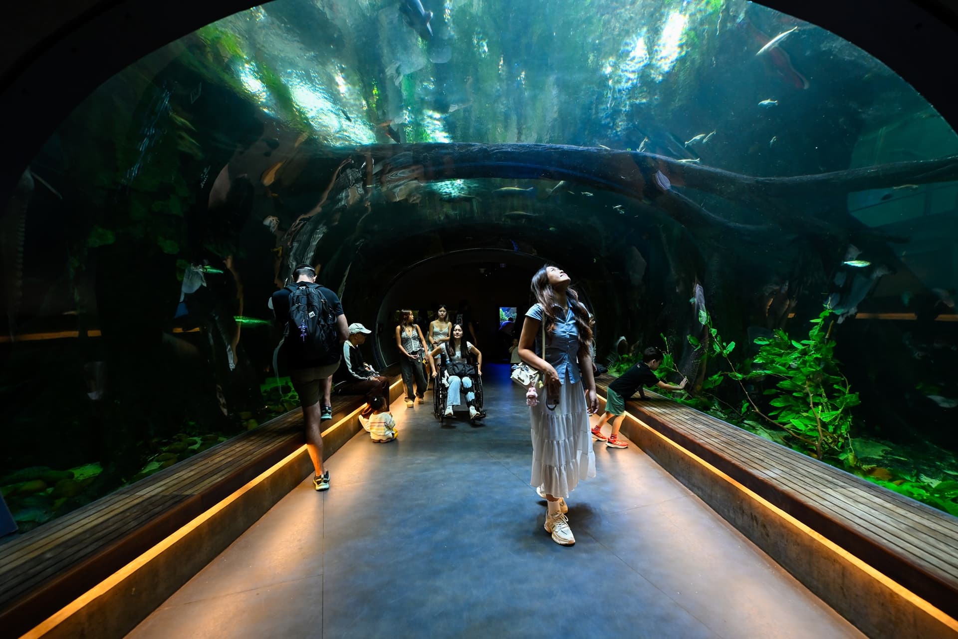 California Academy of Sciences cuts 53 jobs amid deep deficit