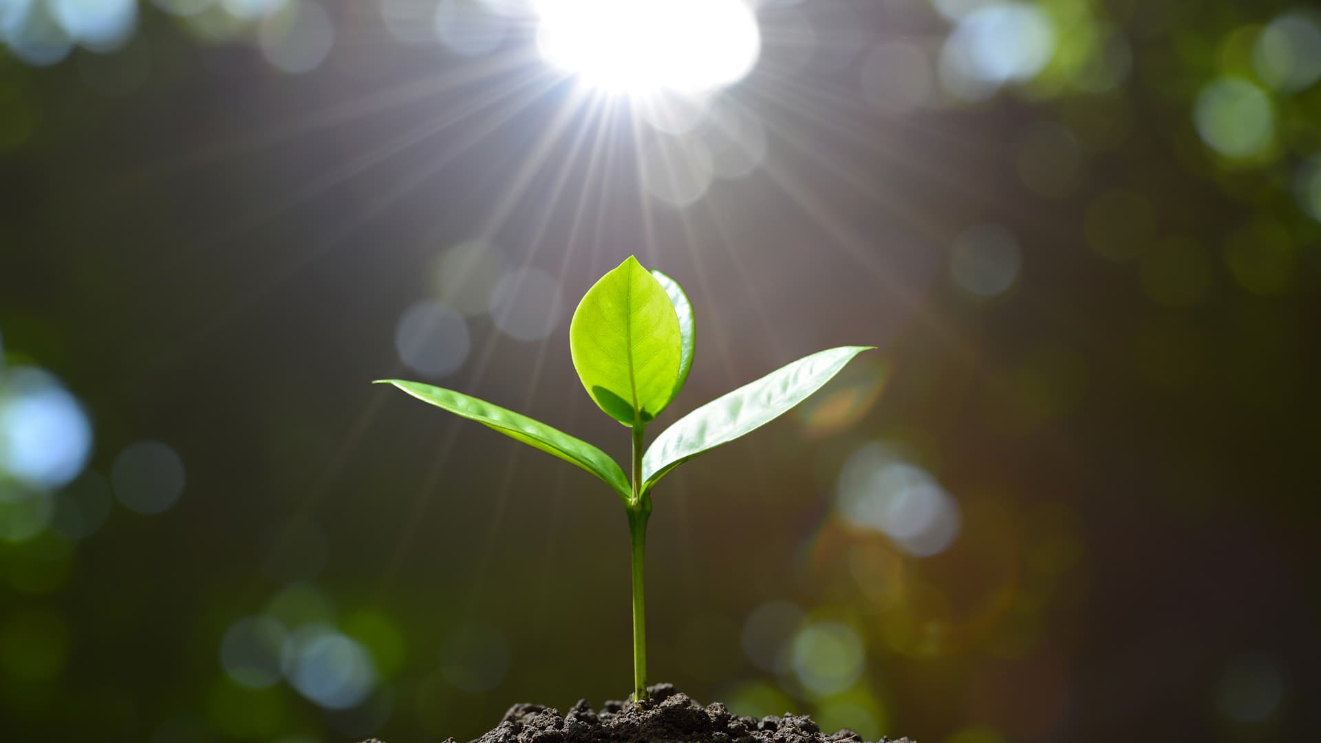 Long Yoga Nidra Helped Me Reframe a Tiring New Year