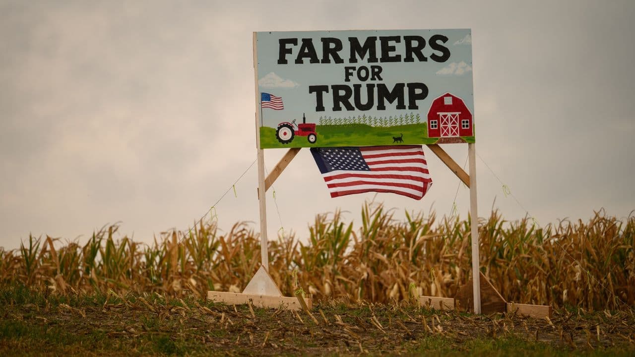 Midwestern Farmers Blast Trump Tariffs as Crop Prices Plunge