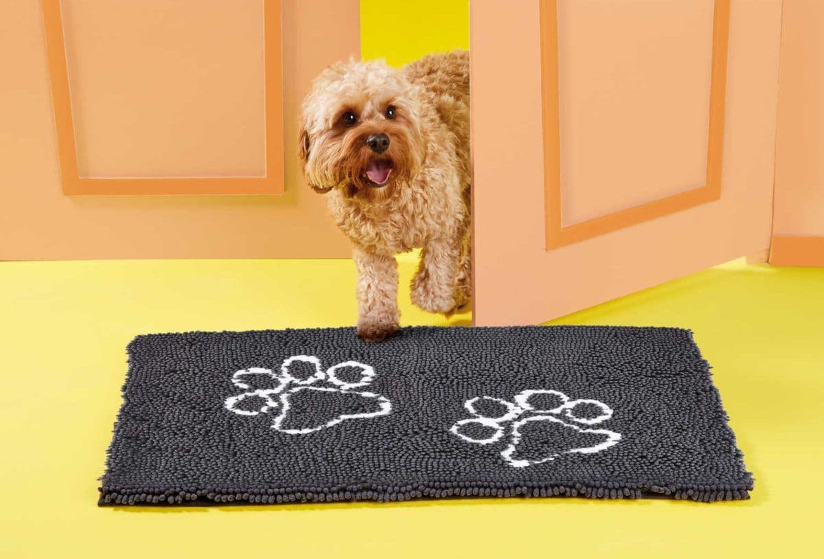 Aldi Finds Im-Pawsibly Cute Doormat Perfect for Homes With Dogs