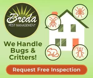 Lambert, West Forsyth Remain Undefeated Atop Division 3 Lacrosse Rankings