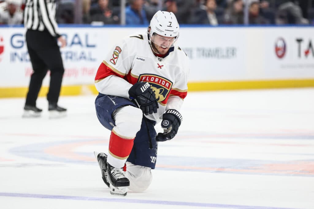Panthers Return Hovorka to Checkers After Kulikov Recovers From Broken Nose