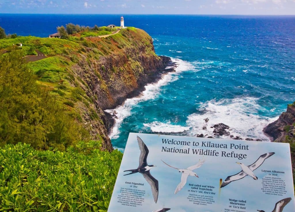 Kīlauea Point Refuge Protects Birds, Shapes Kauaʻi Community Health