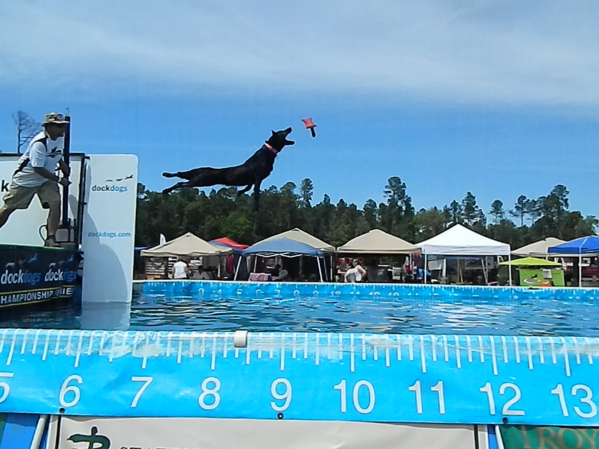 Helena hosts growing dock diving competition for dogs this weekend