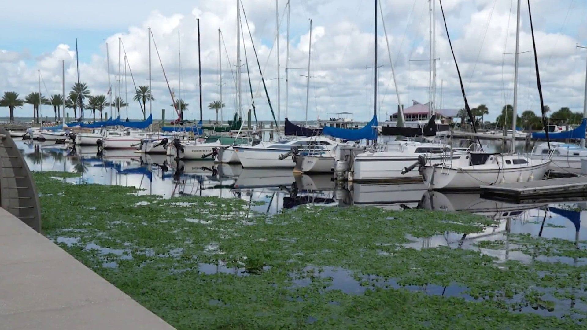 Sanford Seeks $18M to Rebuild Hurricane Ian-Damaged Downtown Marina