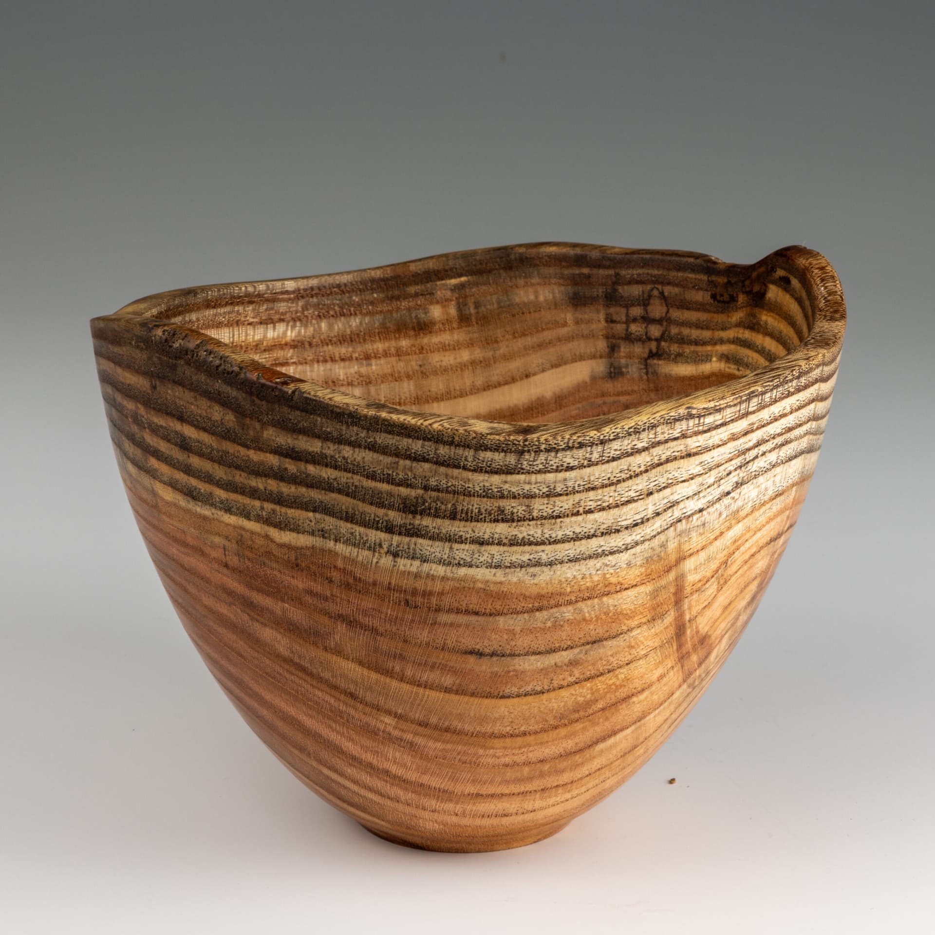 Central Ohio Woodturners set for season-ending May meeting and officer election