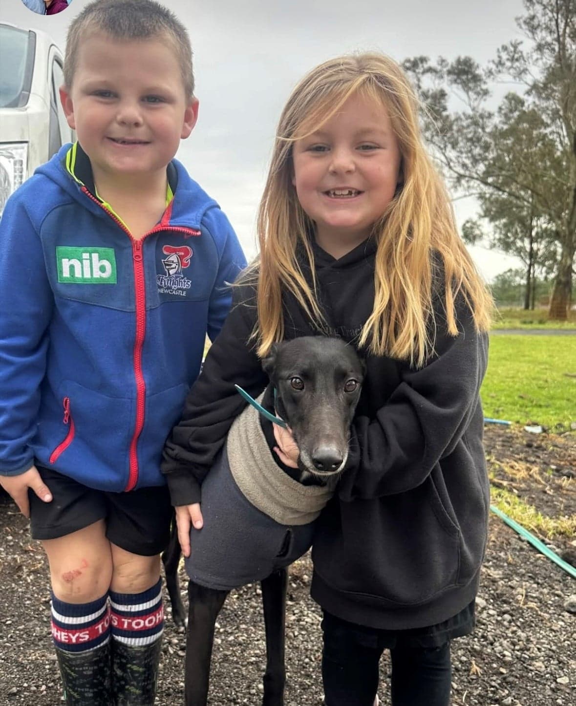 Greyhound Dubbed Hero Helps North East Carer Rediscover Life's Joys