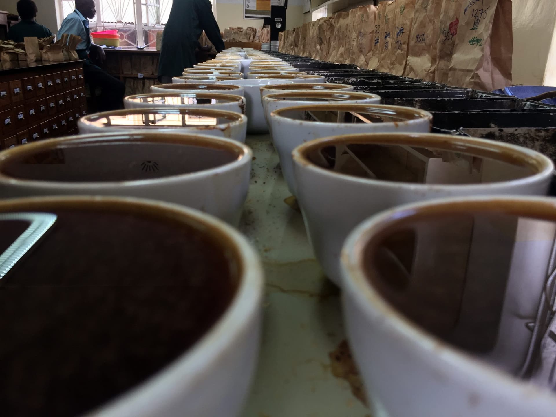 Kenya Coffee Auctions Go Global, AI and Reforms Lift Farmers' Earnings